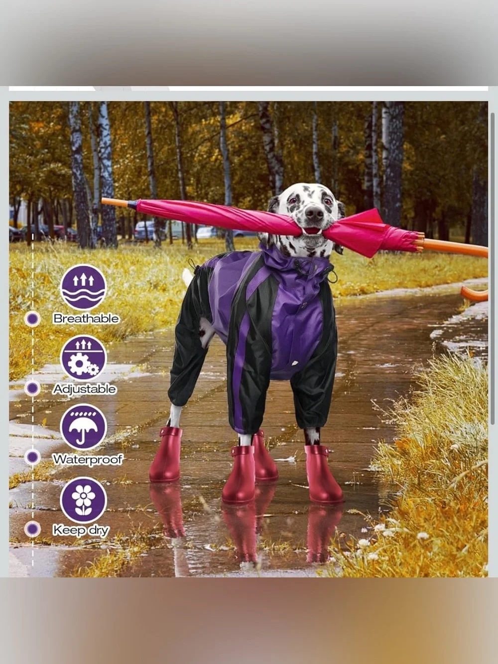 N/A dog raincoat